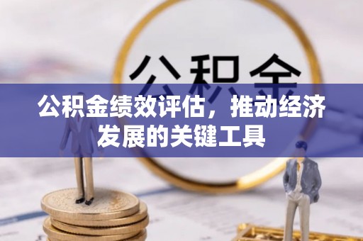 望谟公积金绩效评估，推动经济发展的关键工具