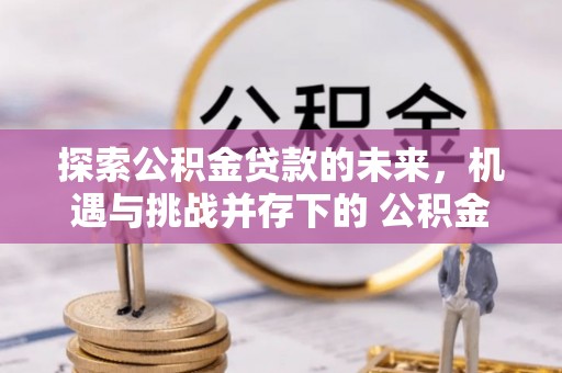 望谟探索公积金贷款的未来，机遇与挑战并存下的 公积金贷款风险防控