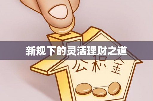 望谟新规下的灵活理财之道