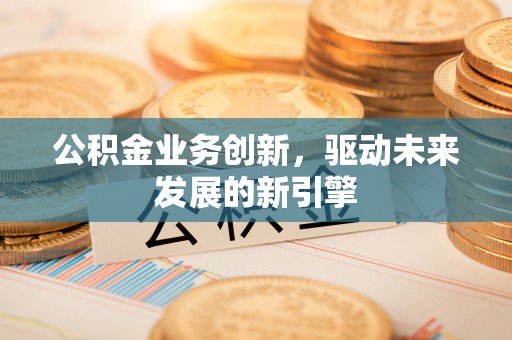 望谟公积金业务创新，驱动未来发展的新引擎