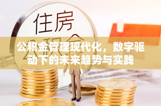 望谟公积金管理现代化，数字驱动下的未来趋势与实践