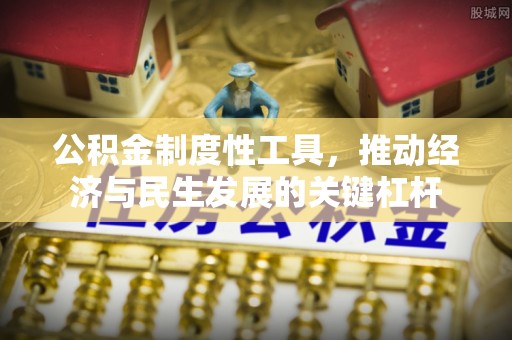 望谟公积金制度性工具，推动经济与民生发展的关键杠杆
