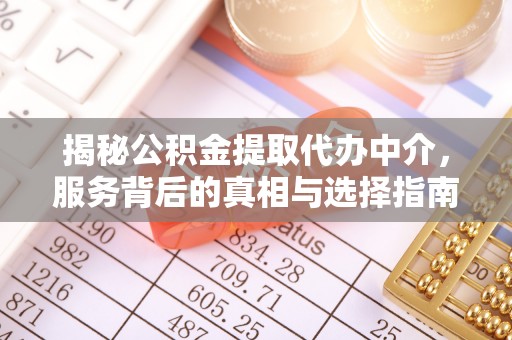 望谟揭秘公积金提取代办中介，服务背后的真相与选择指南
