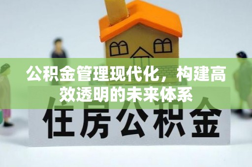 望谟公积金管理现代化，构建高效透明的未来体系
