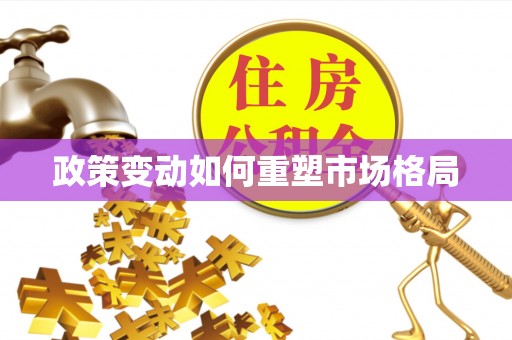 望谟政策变动如何重塑市场格局