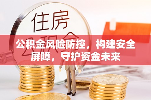 望谟公积金风险防控，构建安全屏障，守护资金未来