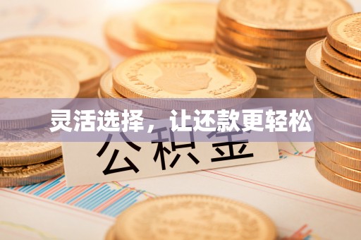 望谟灵活选择，让还款更轻松