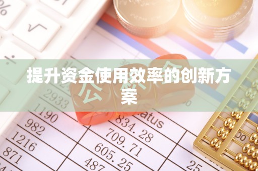 望谟提升资金使用效率的创新方案
