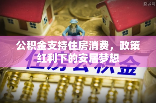 望谟公积金支持住房消费，政策红利下的安居梦想