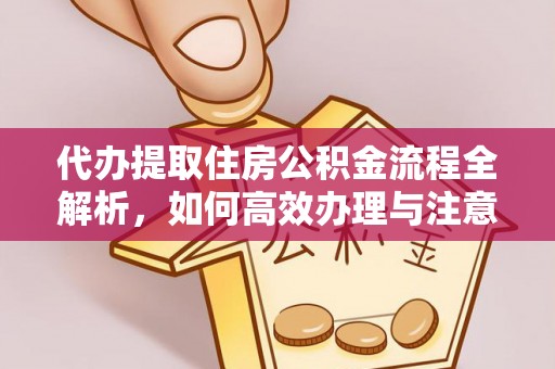 望谟代办提取住房公积金流程全解析，如何高效办理与注意事项