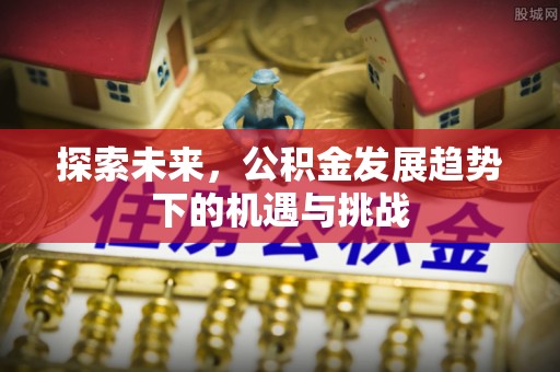 望谟探索未来，公积金发展趋势下的机遇与挑战