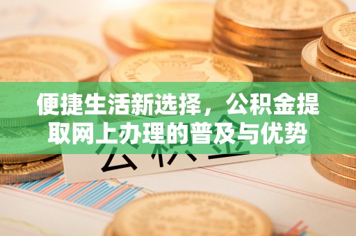 望谟便捷生活新选择，公积金提取网上办理的普及与优势