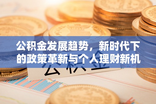 望谟公积金发展趋势，新时代下的政策革新与个人理财新机遇