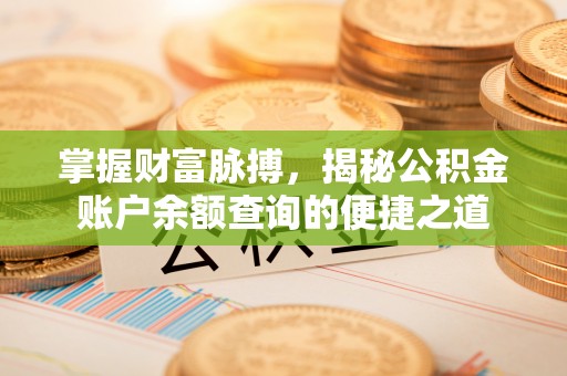 望谟掌握财富脉搏，揭秘公积金账户余额查询的便捷之道