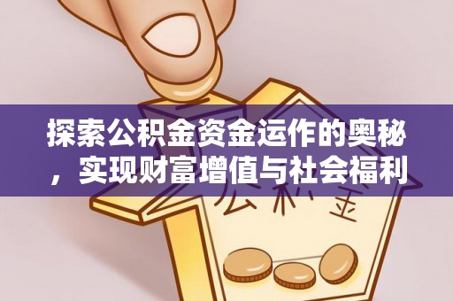 望谟探索公积金资金运作的奥秘，实现财富增值与社会福利双赢