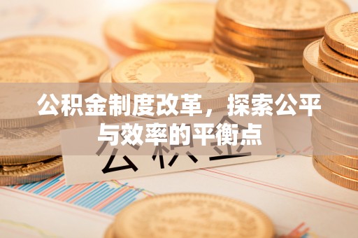 望谟公积金制度改革，探索公平与效率的平衡点