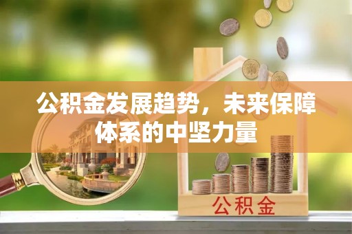 望谟公积金发展趋势，未来保障体系的中坚力量