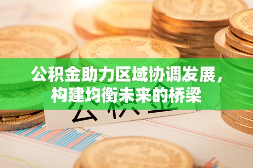 望谟公积金助力区域协调发展，构建均衡未来的桥梁