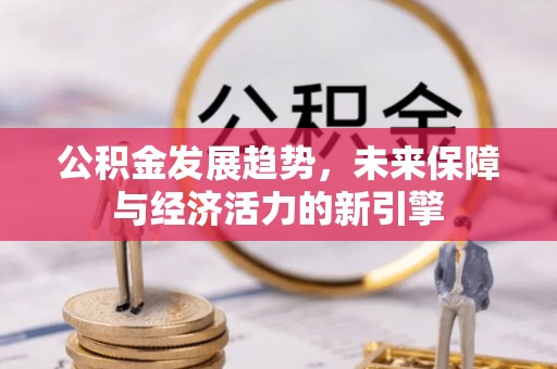 望谟公积金发展趋势，未来保障与经济活力的新引擎