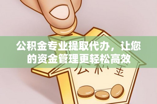 望谟公积金专业提取代办，让您的资金管理更轻松高效