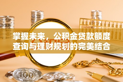 望谟掌握未来，公积金贷款额度查询与理财规划的完美结合