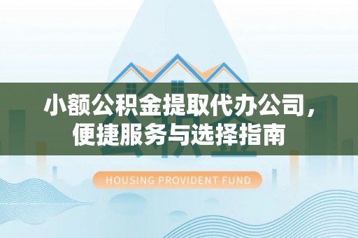 望谟小额公积金提取代办公司，便捷服务与选择指南