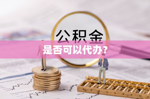 望谟是否可以代办？