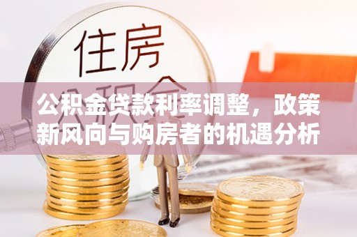 望谟公积金贷款利率调整，政策新风向与购房者的机遇分析