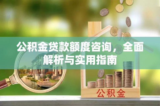 望谟公积金贷款额度咨询，全面解析与实用指南