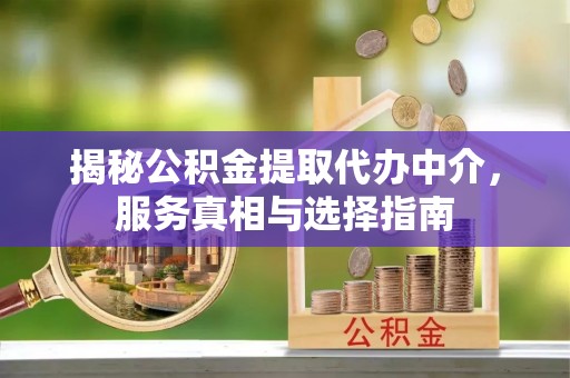 望谟揭秘公积金提取代办中介，服务真相与选择指南