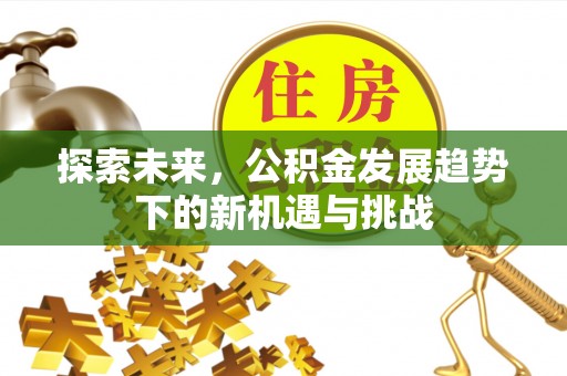 望谟探索未来，公积金发展趋势下的新机遇与挑战