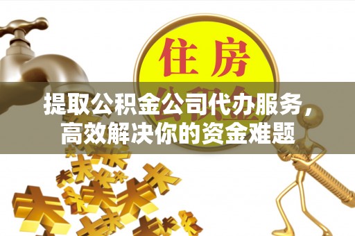 望谟提取公积金公司代办服务，高效解决你的资金难题