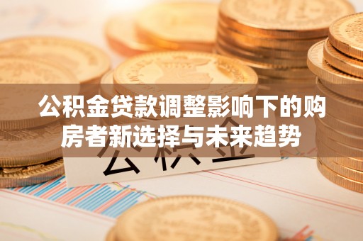 望谟公积金贷款调整影响下的购房者新选择与未来趋势