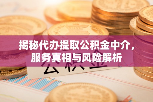 望谟揭秘代办提取公积金中介，服务真相与风险解析