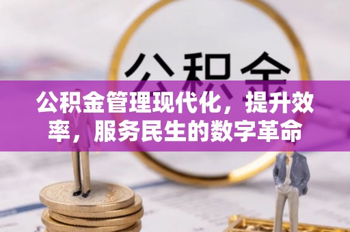 望谟公积金管理现代化，提升效率，服务民生的数字革命