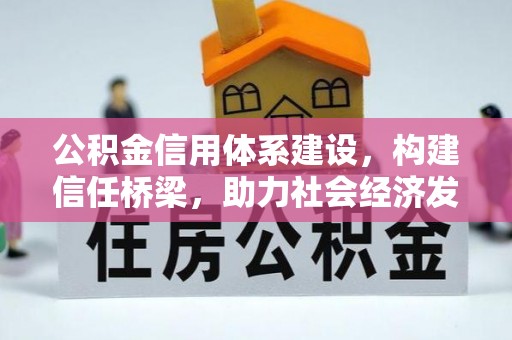 望谟公积金信用体系建设，构建信任桥梁，助力社会经济发展