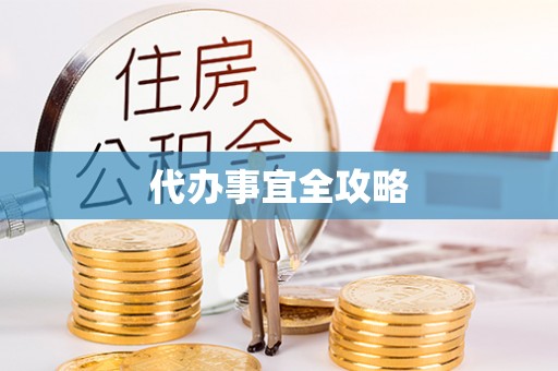 望谟代办事宜全攻略