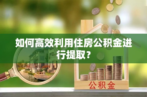 望谟如何高效利用住房公积金进行提取？
