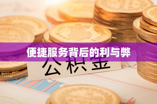 望谟便捷服务背后的利与弊