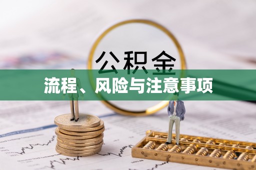 望谟流程、风险与注意事项
